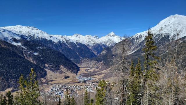 20230316_141740.jpg