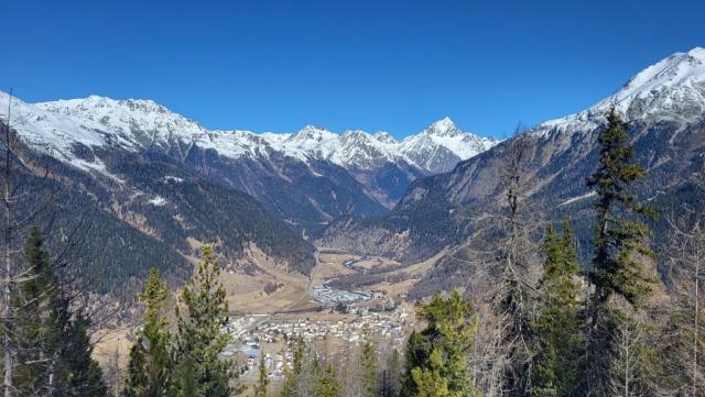 20230318_104616.jpg