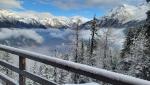 20230320_083428.jpg