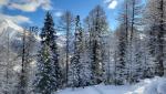 20230320_085056.jpg