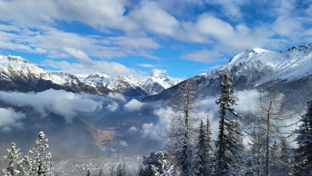 20230320_085133.jpg