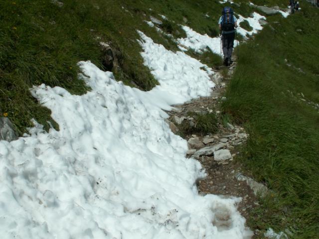 August Schnee