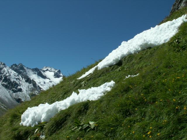 Farbspiele grün,weiss,blau