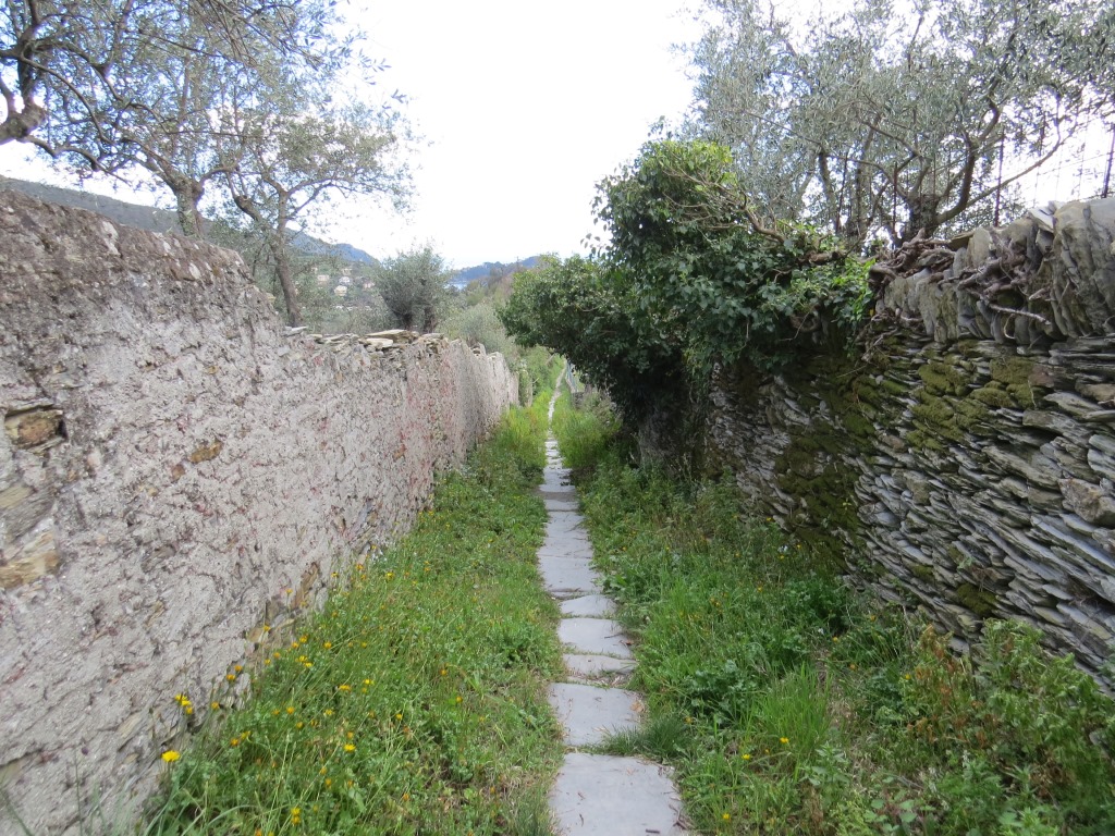 die weiterhin wunderschöne Via della Costa führt uns nun abwärts nach Cavi