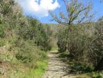 wir lassen Cavi hinter uns, und wandern weiter. Unser Tagesziel Sestri Levante rückt näher