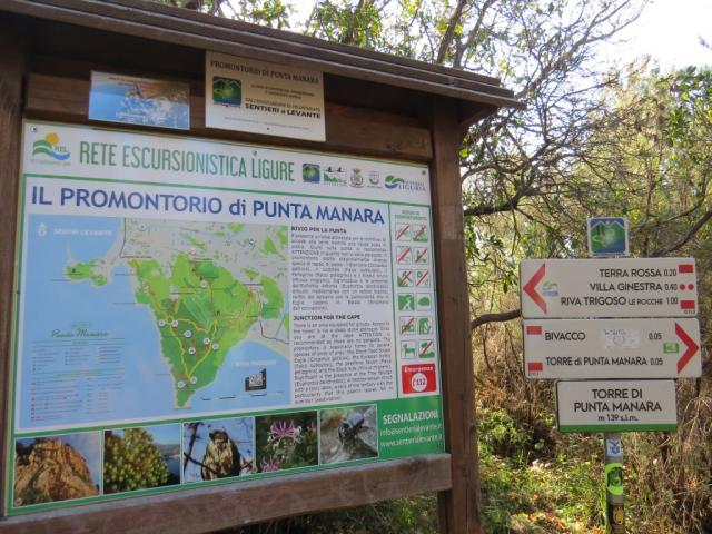 Informationstafel zu der Halbinsel Punta Manara