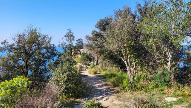 der schmale Wanderweg, links und rechts geht es senkrecht in die Tiefe...