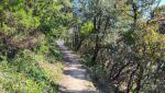 ...gleichzeitig auf der Via della Costa und dem Sentiero Verdeazzuro wandern