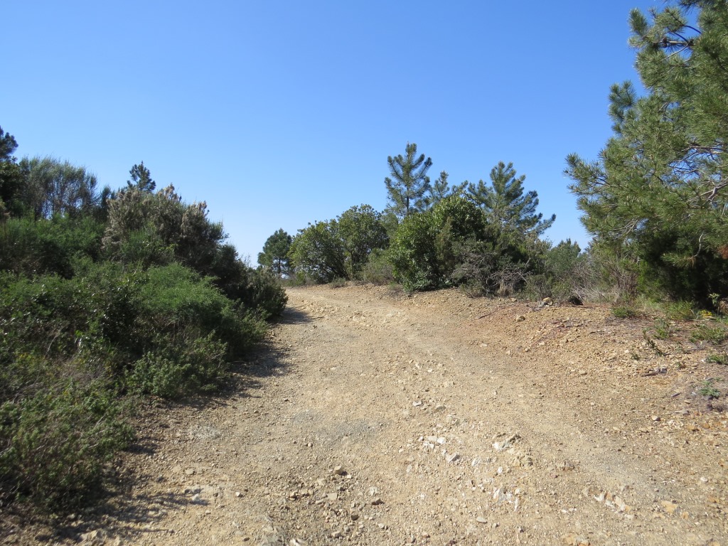 zu beginn wandern wir über eine breite Kiesstrasse