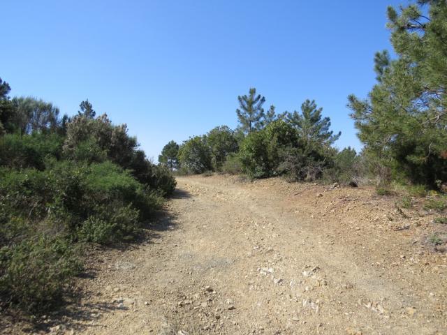 zu beginn wandern wir über eine breite Kiesstrasse