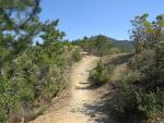 der Wanderweg zieht nun ein bisschen von der schroffen Küste weg ins Landesinnere