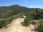 alles am Bergrücken entlang, wandern wir Richtung Monte Moneglia