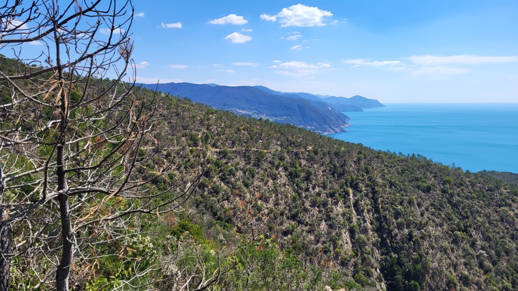 gut ersichtlich der Wanderweg der sich nun senkt. Dahinter die Cinque Terre