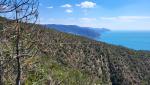 gut ersichtlich der Wanderweg der sich nun senkt. Dahinter die Cinque Terre