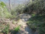 steil führt der Wanderweg nun hinunter nach Moneglia