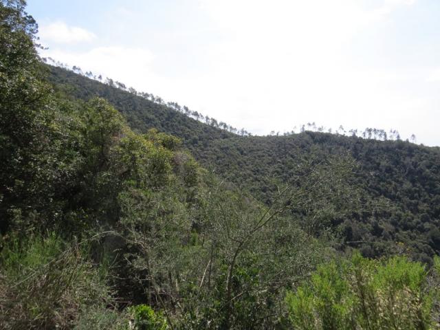 der Wanderweg führt uns hinauf zu dieser Delle auf dem Bergrücken