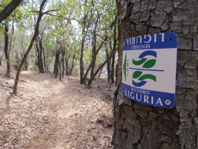 wir sind auf dem richtigen Weg. Wir wandern ja gleichzeitig auf der Via della Costa und der Sentiero Verdeazzuro