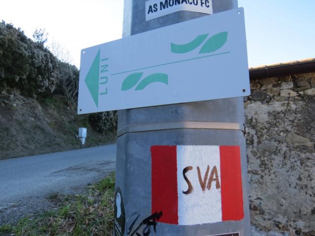 wir wandern nun zeitgleich auf der Via della Costa und der Sentiero Verdeazzuro