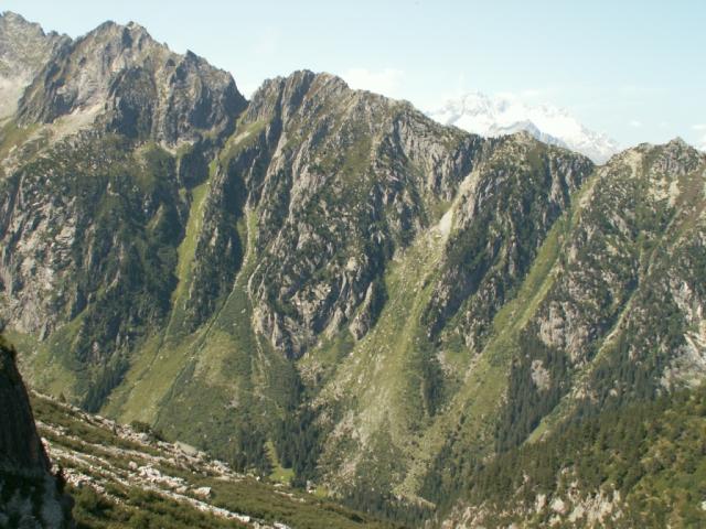 das Fellitall mit Taghorn