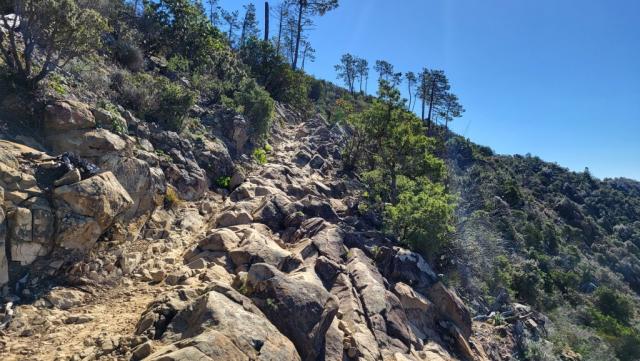 wir treten ein in die wunderschöne Welt des Parco Nazionale delle Cinque Terre