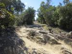 der Wanderweg führt uns zur Landzunge Punta Mesco