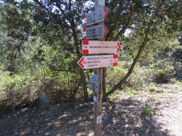 nach der Pause geht es zur grossen Wegkreuzung zurück