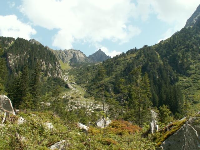 Blick zurück
