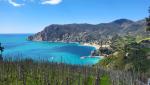 wir blicken zurück nach Monterosso al Mare und gut ersichtlich die Landzunge Punta Mesco