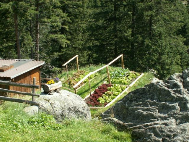 Garten bei der Treschhütte