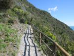 auf dem Weg nach Corniglia