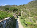 wir lassen Corniglia hinter uns, und wandern aufwärts