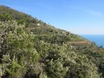 wir wandern nun alles dem Berghang des Monte Le Croci entlang