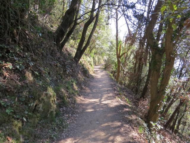 auf einem sehr schönen Höhenweg wandern wir weiter