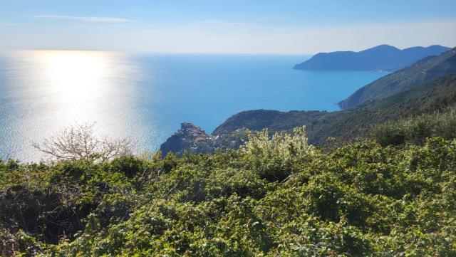 wir blicken nochmals nach Corniglia hinunter