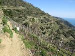 auch heute wandern wir durch den Parco Nazionale delle Cinque Terre