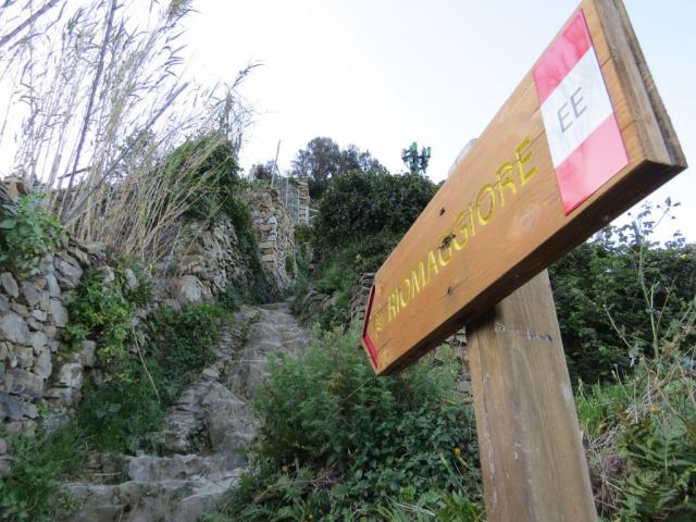 der Wanderweg Nr.531 nach Riomaggiore besteht praktisch nur aus Stufen und Treppen, aufwärts wie auch abwärts