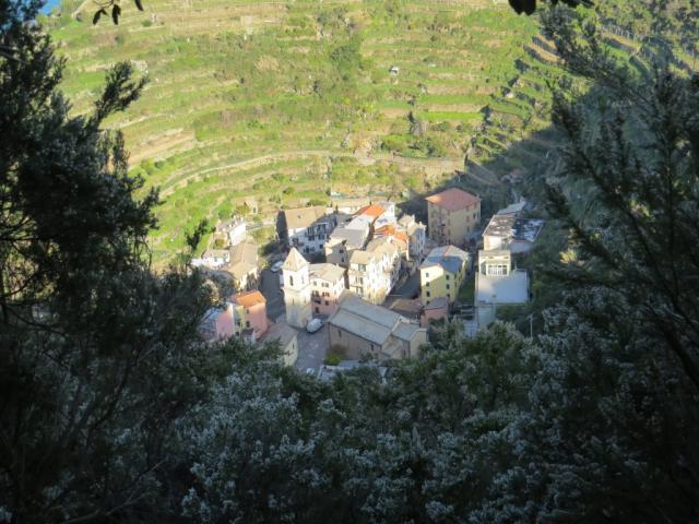 ...als der Normalweg. Tief unter uns Manarola