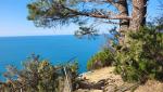 auch heute wandern wir durch den Parco Nazionale delle Cinque Terre