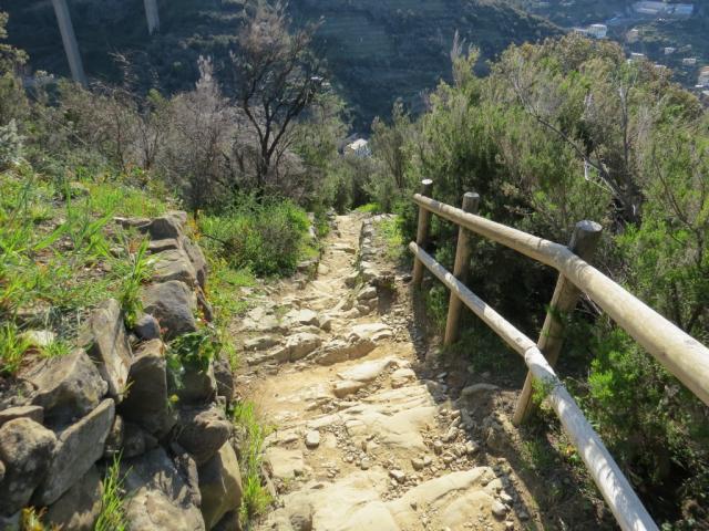 ...gleichzeitig auf der Via della Costa und dem Sentiero Verdeazzuro wandern