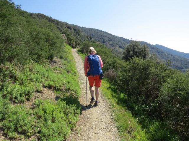 schon nach kurzer Zeit wandern wir auf offenem Gelände...