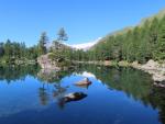 Wanderung Saoseo See - Rifugio Saoseo - Viola See 3.8. - 4.8.2019