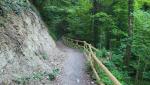 wir tauchen in den Bregenzerwald ein. Auch heute wandern wir durch Österreich