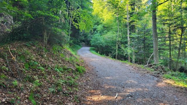 auf der ganzen Strecke bis Berchtesgaden ist der Wanderweg nicht als Maximilianweg bezeichnet. GPS und Karten nötig