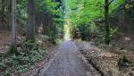 wir wandern durch den Bregenzerwald und folgen die Wegweiser "Dreiländerblick"