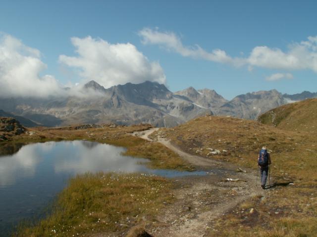 Mäusi bei einem Bergsee, im Hintergrund Pizzo Centrale