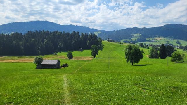 Waldparzellen und Wiesen wechseln sich ab