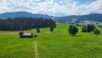 Waldparzellen und Wiesen wechseln sich ab