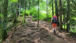 auf einem schmalem Pfad geht es nun im Büllerwald steil hinauf