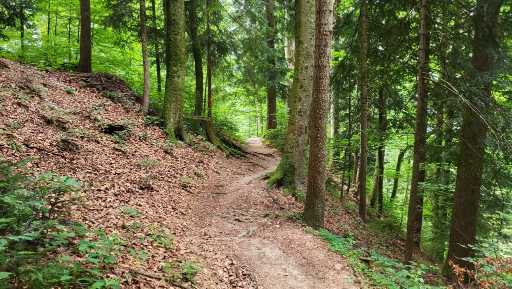 die heutige Etappe des Maximilianweg teilen wir teilweise mit dem Voralpenweg, E4 und E5