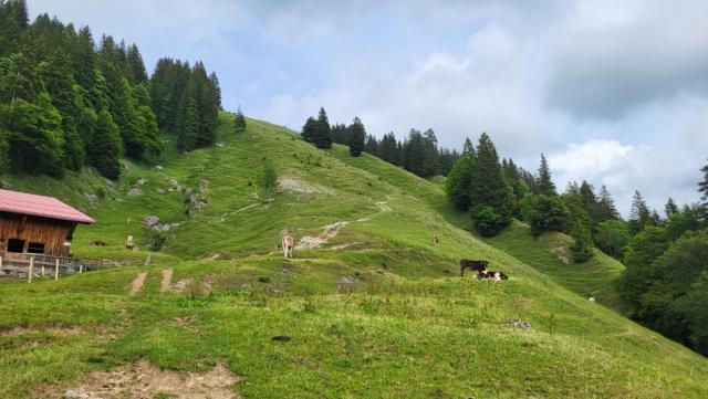 rechts von ihr führt der Maximilian-Weg als Bergpfad steil bergan